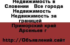 Недвижимость в Словении - Все города Недвижимость » Недвижимость за границей   . Приморский край,Арсеньев г.